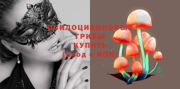 синтетический гашиш Арсеньев