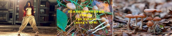 кокаин колумбия Аркадак